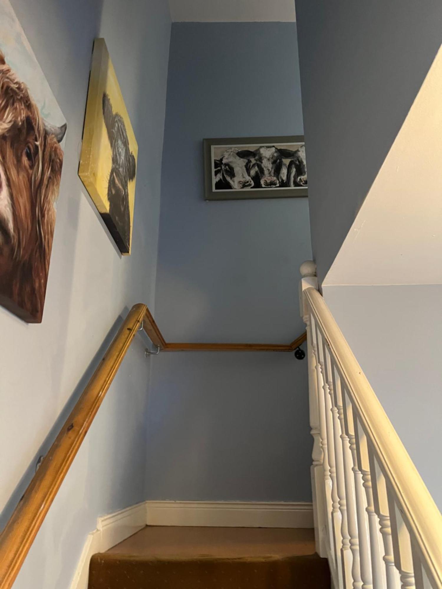 11 Parkmore Street, Ormeau Road, Belfast, Bt7 2Gt, 2 Bedroom House Eksteriør bilde
